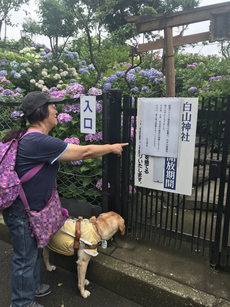 【写真】小石川植物園も入場出来ず