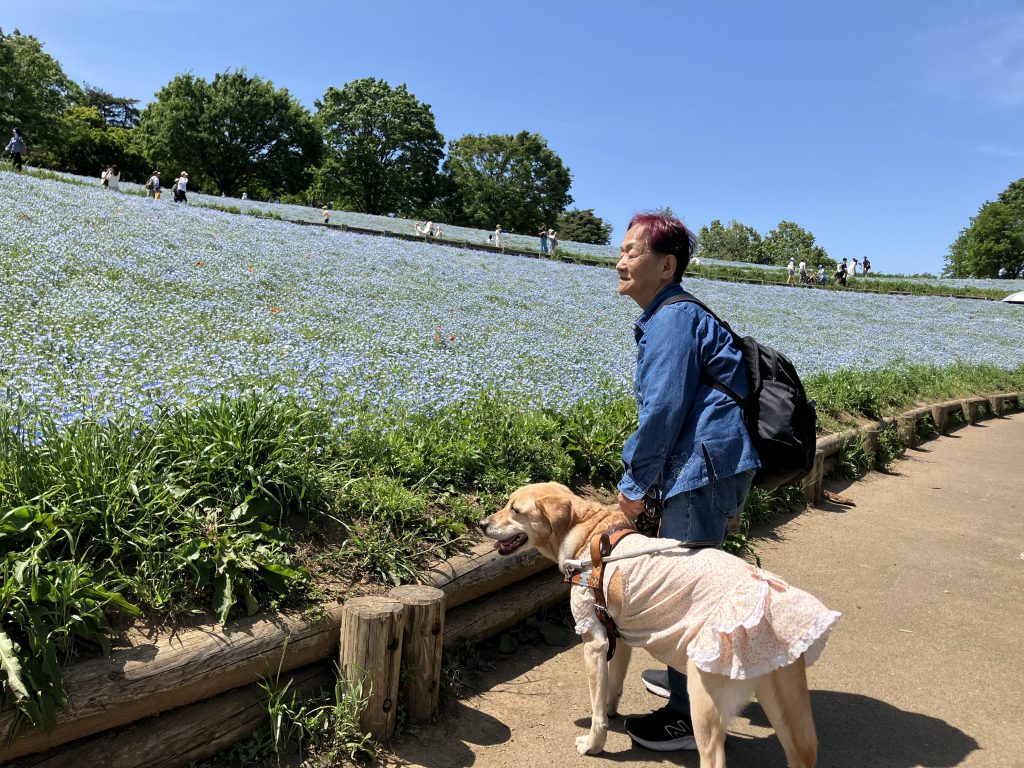 【写真】ネモフィラの前で横を向いた郡司さんとフーちゃん